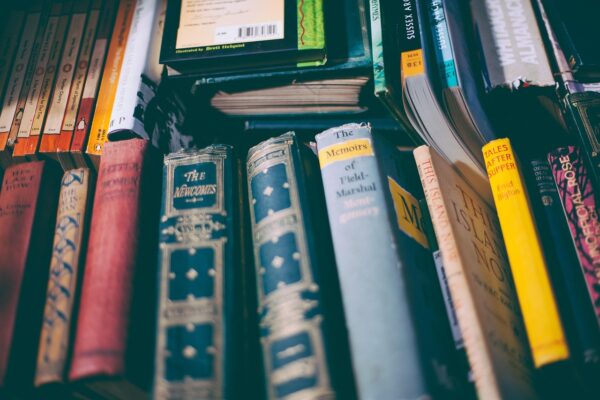 bibliotecă vintage în apartament